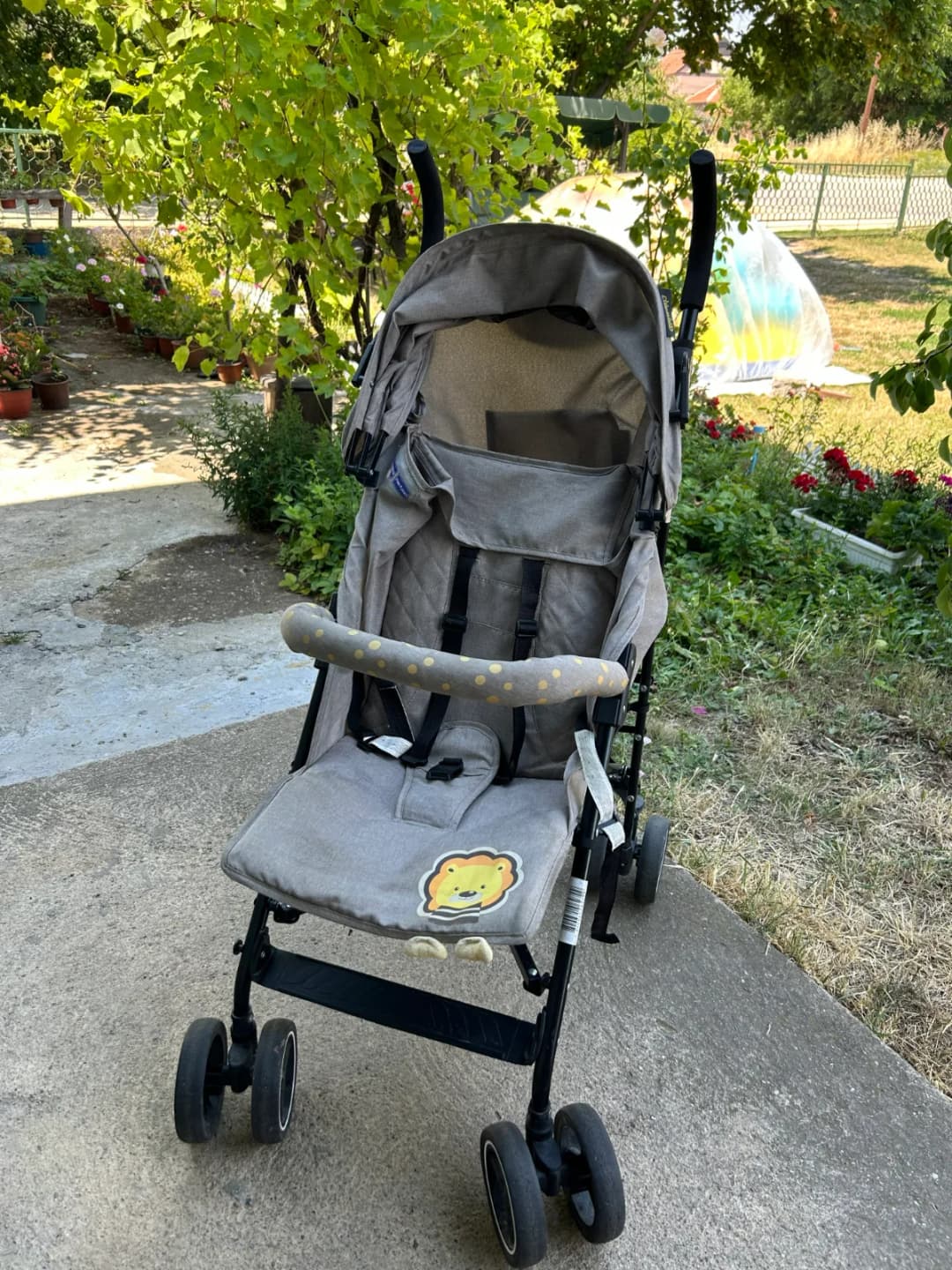 Kisobran kolica, Chipolino Milano Lion