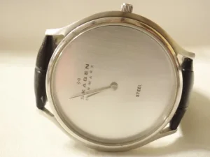 SKAGEN muski sat xxxwwww